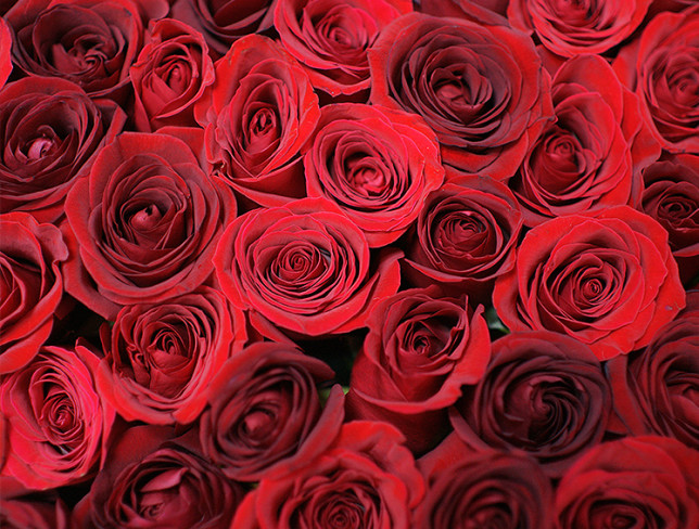 Cutie-inima cu  65 trandafiri rosii №2 foto